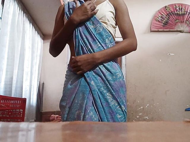 Desi girl in Saree (Desi Girl Fun)