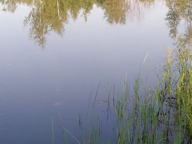 Transgirl Swimming in Clothes in Lake Wearing All Black: Pantyhose, Skirt and Top. Wetlook in Lake. (Alexa Cosmic)